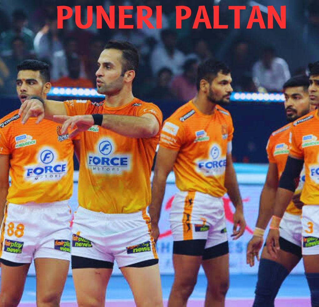 Puneri paltan